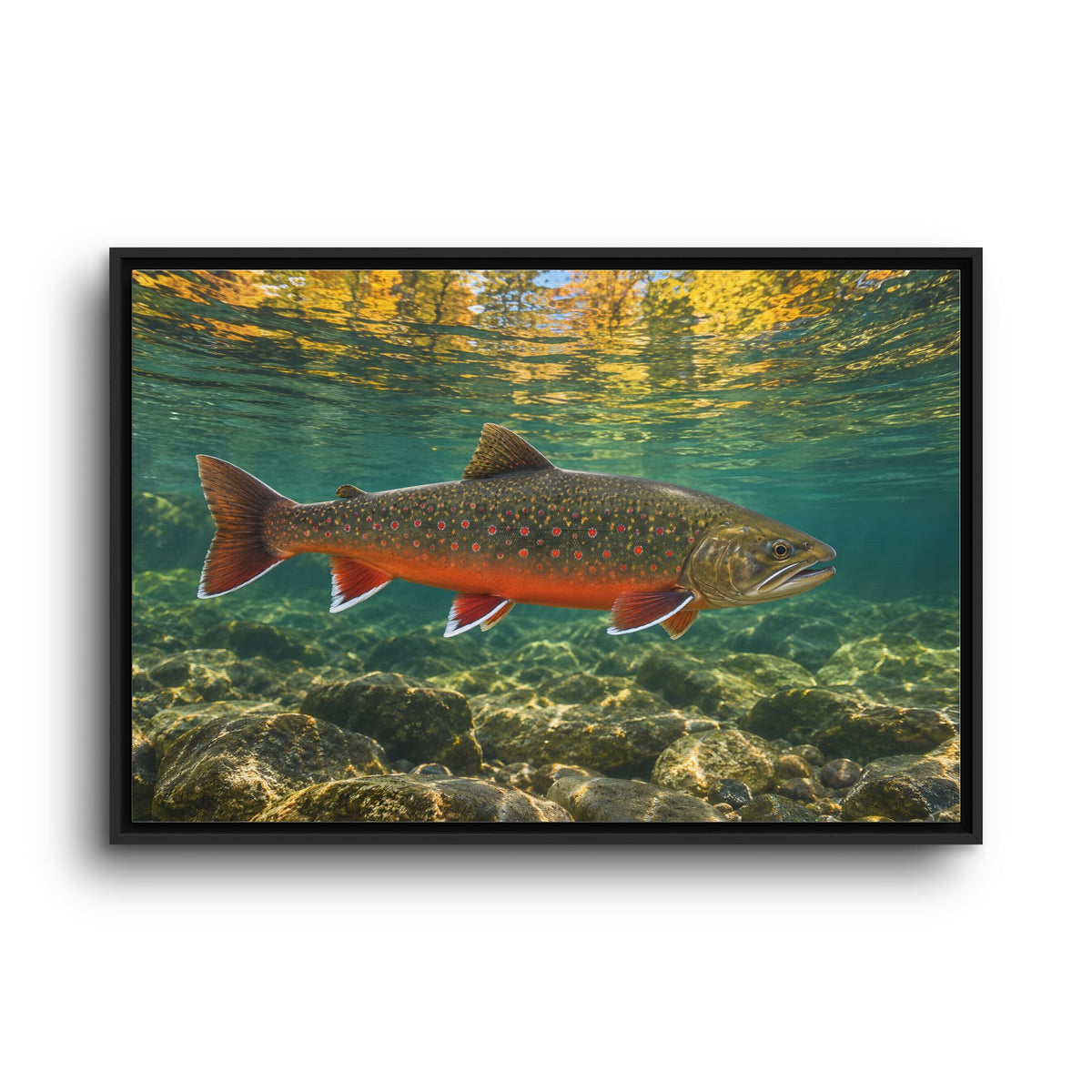 Autumn Reflections Dolly Varden framed canvas wall art, view 3