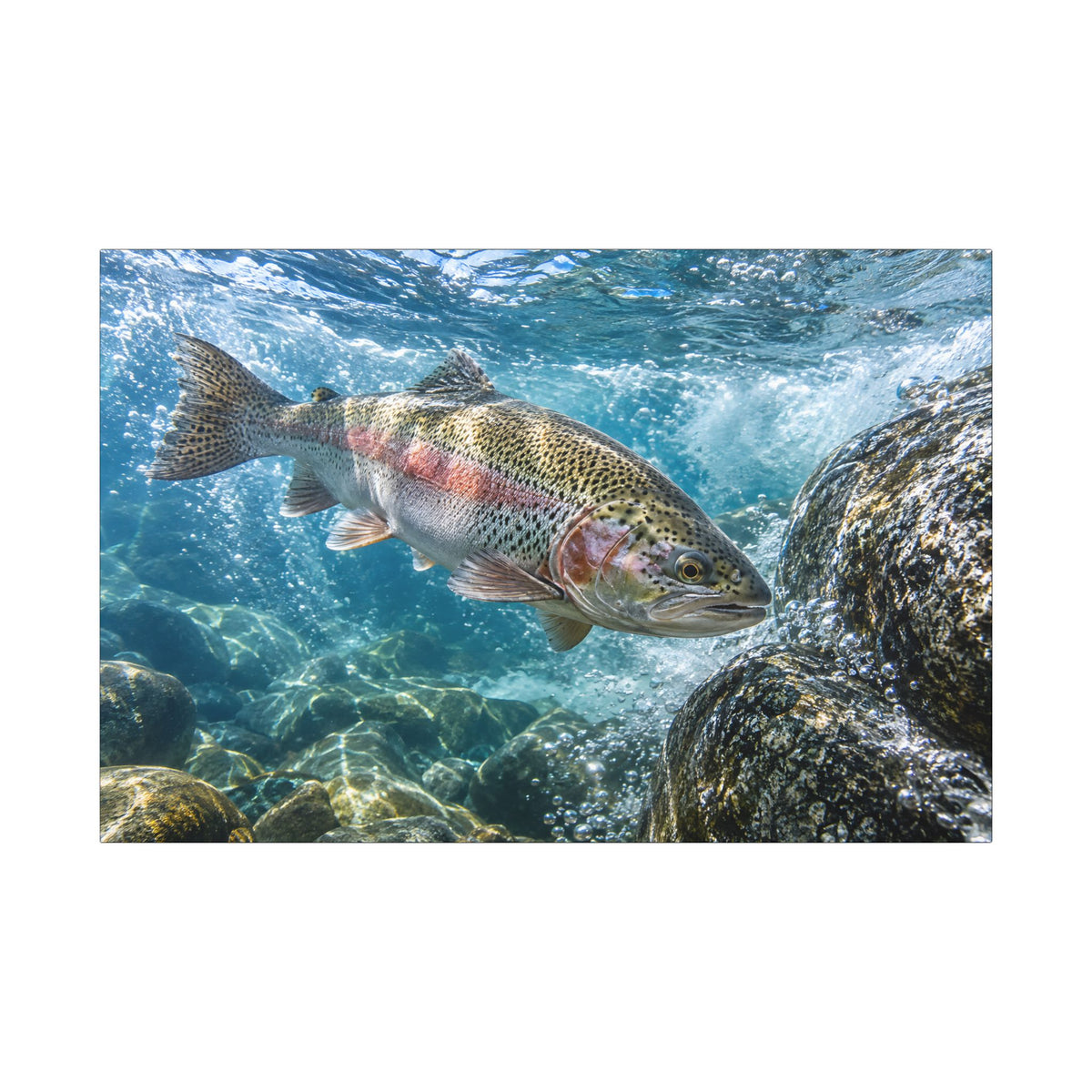 Granite Power Rainbow Trout canvas wall art, view 3