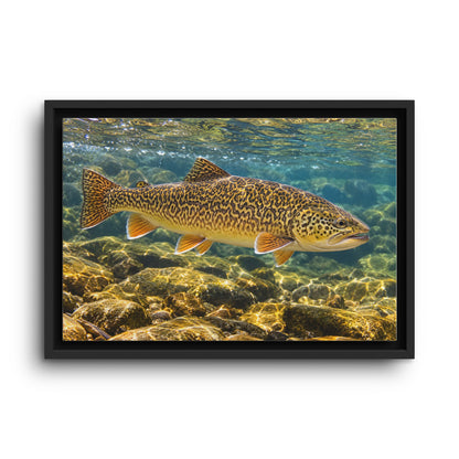 Sunlit Riffle Tiger Trout framed canvas wall art