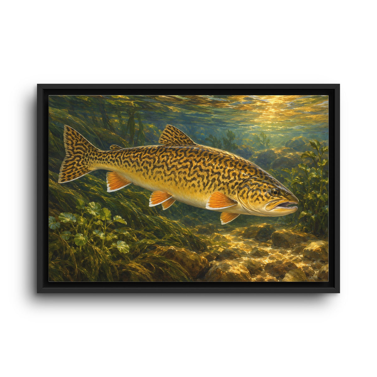 Golden Hour Watercress Tiger Trout framed canvas wall art, view 2