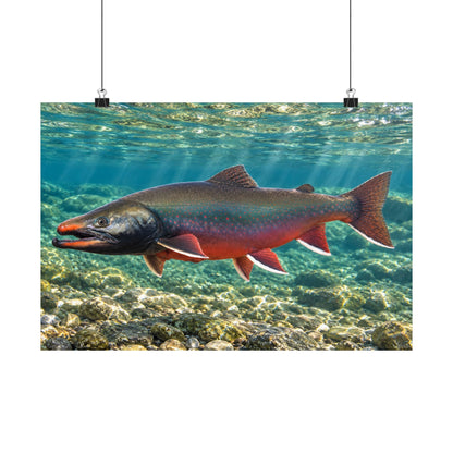 Sunlit Waters Dolly Varden poster wall art, view 2