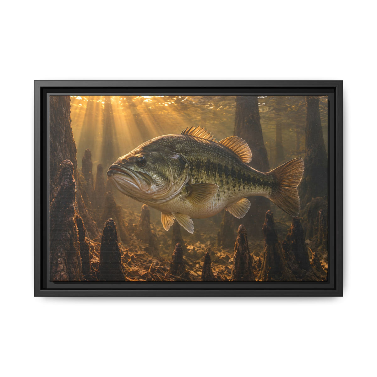 Sunrise Over the Cypress Knees Largemouth Bass framed canvas, 24x16 size view