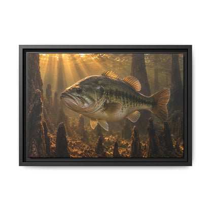 Sunrise Over the Cypress Knees Largemouth Bass framed canvas, 24x16 size view