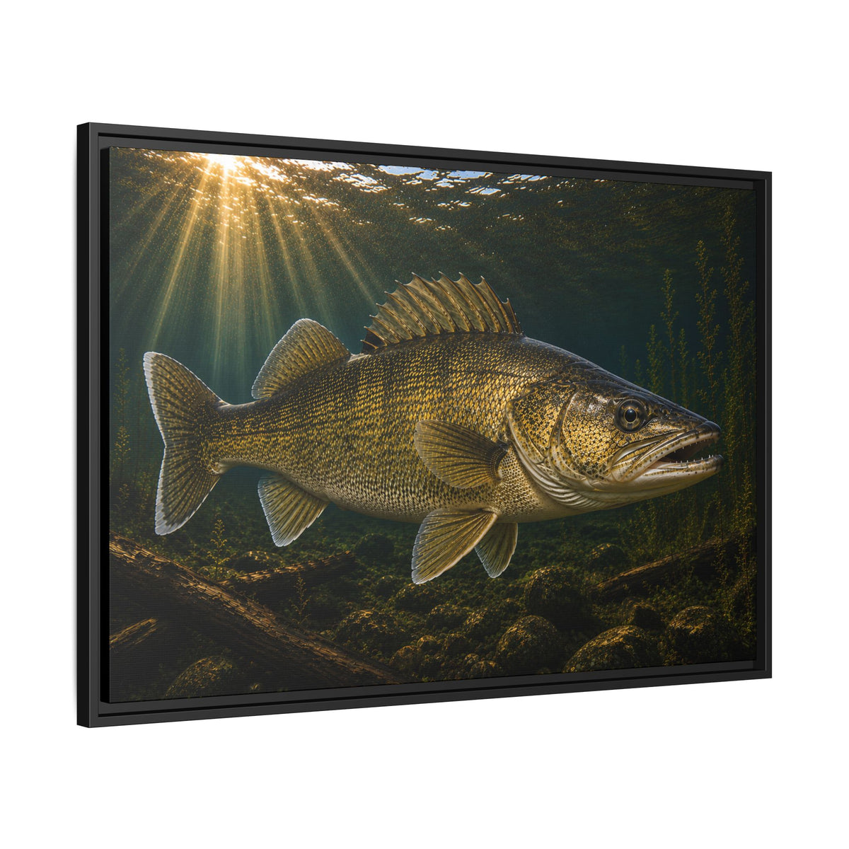 Golden Sunbeams Walleye framed canvas side angle