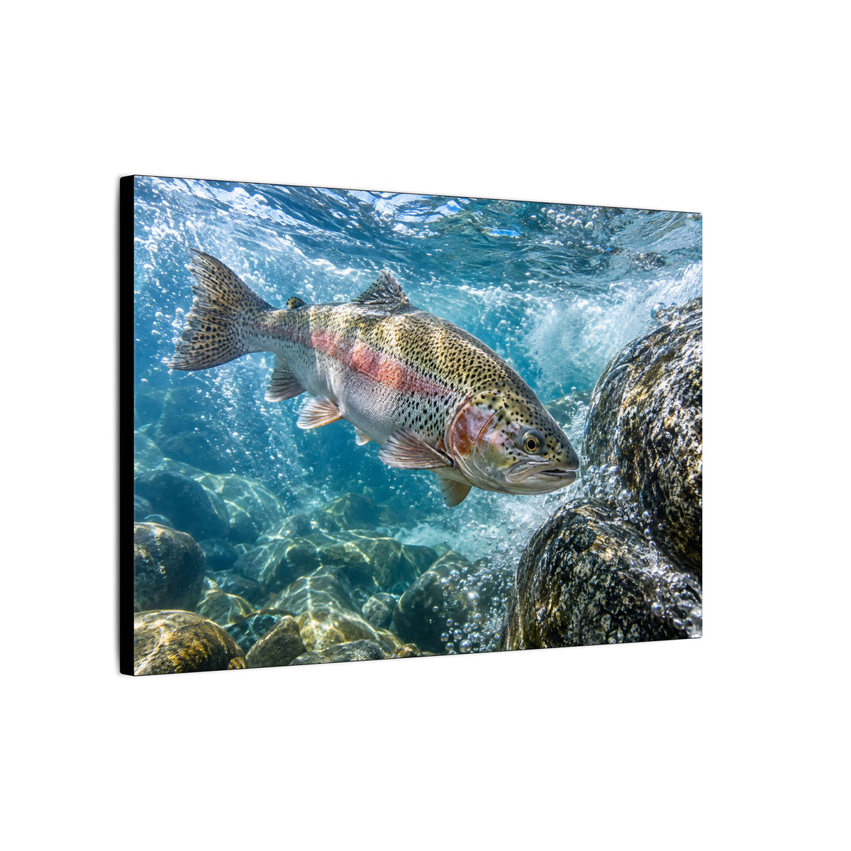 Granite Power Rainbow Trout canvas wall art, view 4