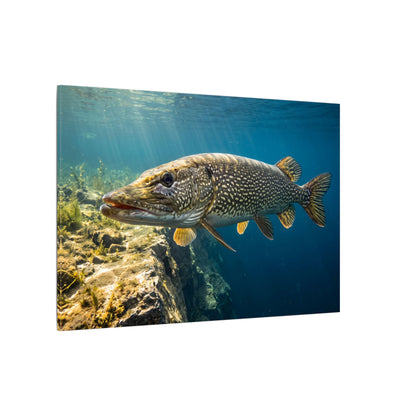Northern Pike Deep Water Cruise Canvas — Trophy Wall Art for Anglers