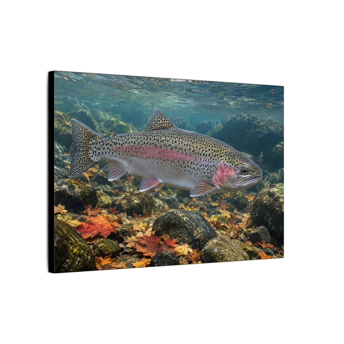 Autumn Rainbow Rainbow Trout canvas wall art, view 4
