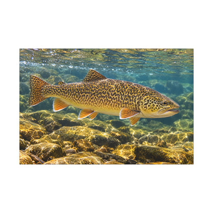 Sunlit Riffle Tiger Trout canvas wall art, view 3
