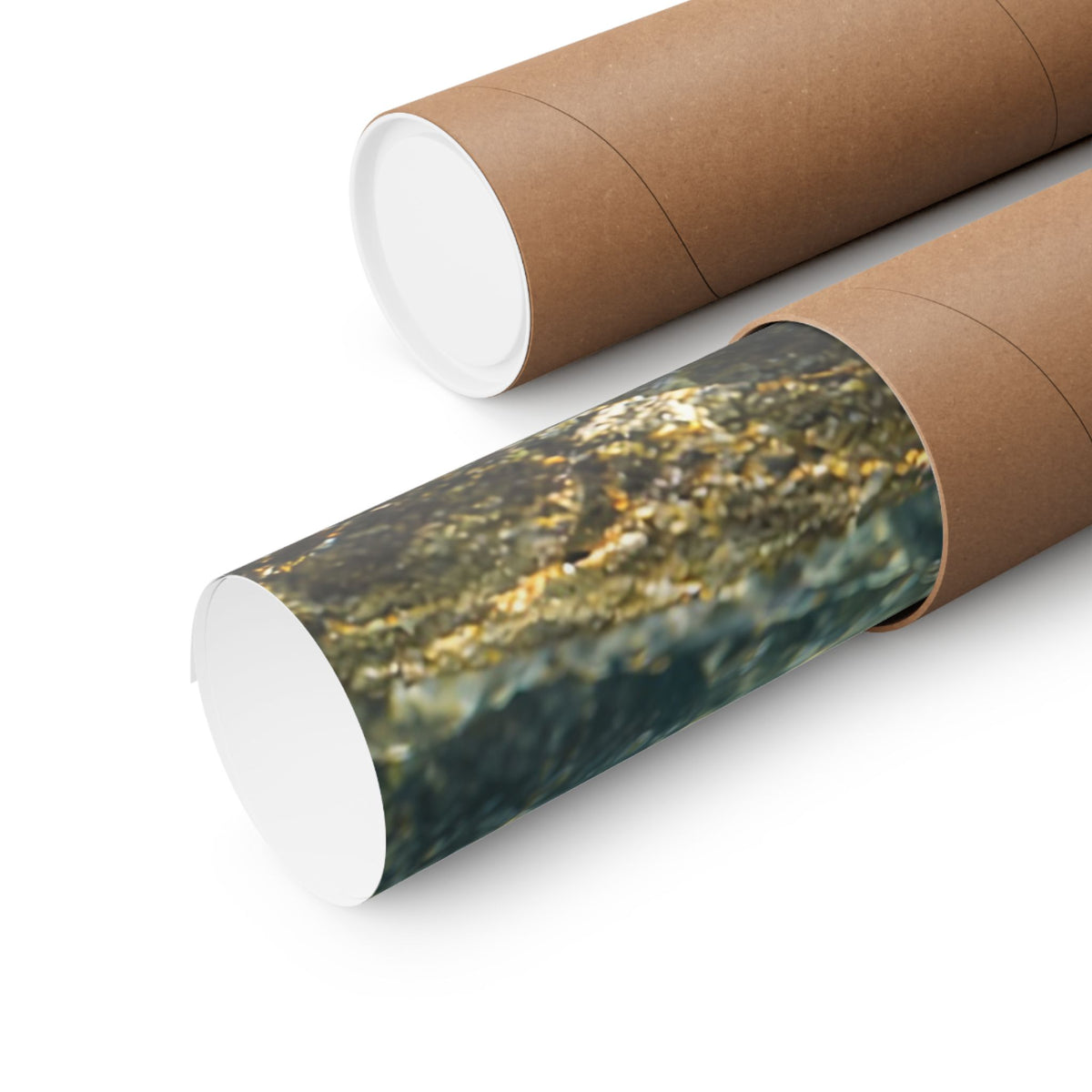 Teeth of the Run Chum Salmon poster wall art, view 5