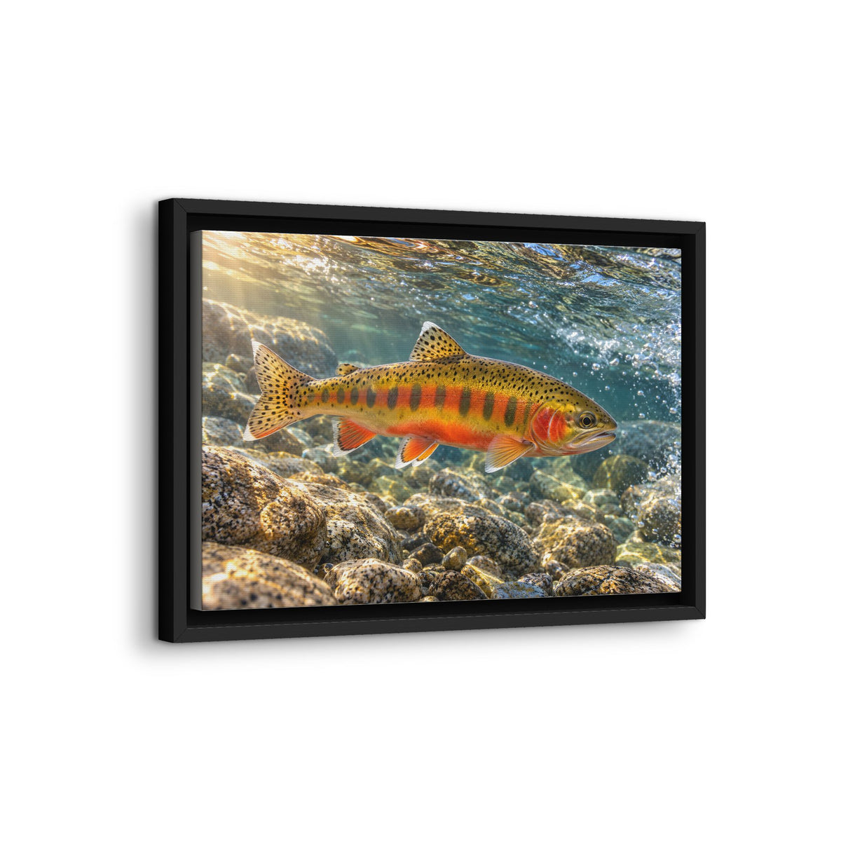 Sierra Sunrise Golden Trout framed canvas wall art, view 4