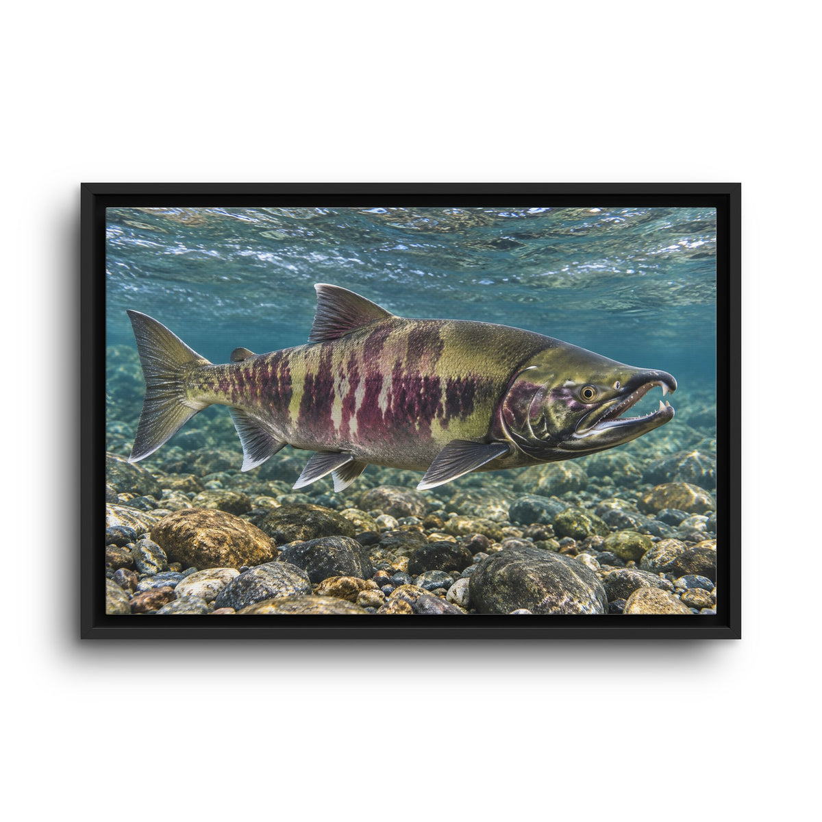 Calico Run Chum Salmon framed canvas wall art, view 2