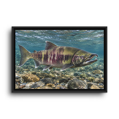 Calico Run Chum Salmon framed canvas wall art, view 2