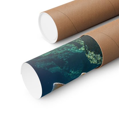 Pend Oreille Giant Bull Trout poster shipped rolled in a protective tube