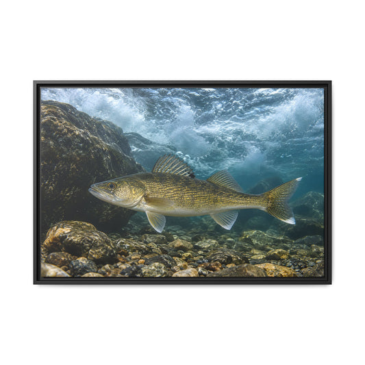 Tailwater Below the Dam Walleye framed canvas, 18x12 size view