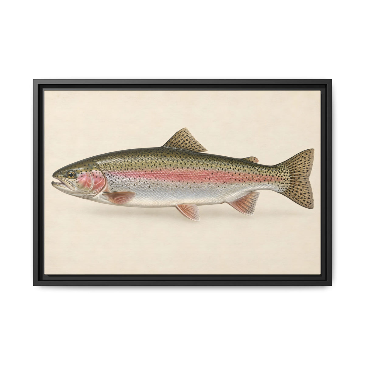 Rainbow Trout Field Study framed canvas wall art – photo 3