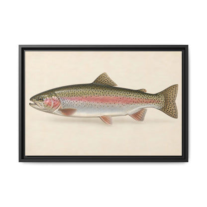Rainbow Trout Field Study framed canvas wall art – photo 3
