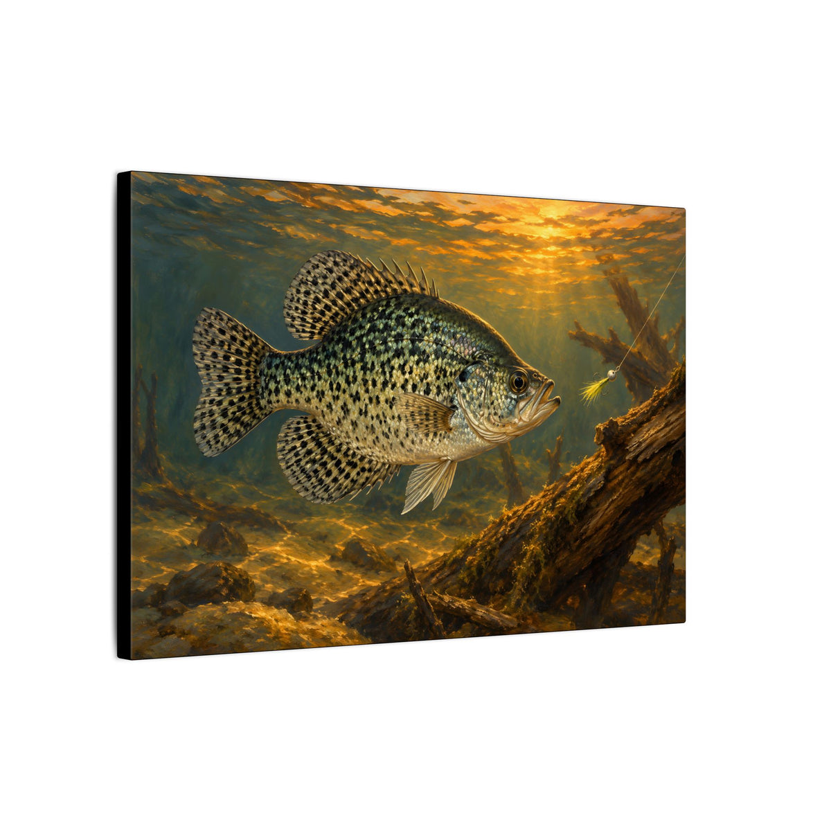 Papermouth at Dusk Crappie canvas wall art, view 4