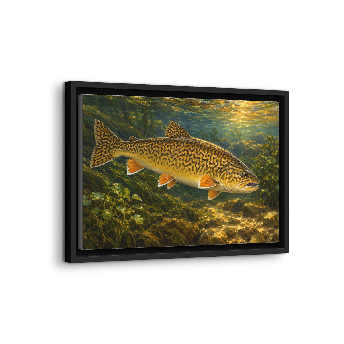 Golden Hour Watercress Tiger Trout framed canvas wall art, view 4