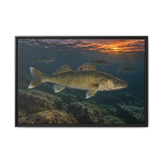 Reef Pack at Dusk Walleye framed canvas, 18x12 size view