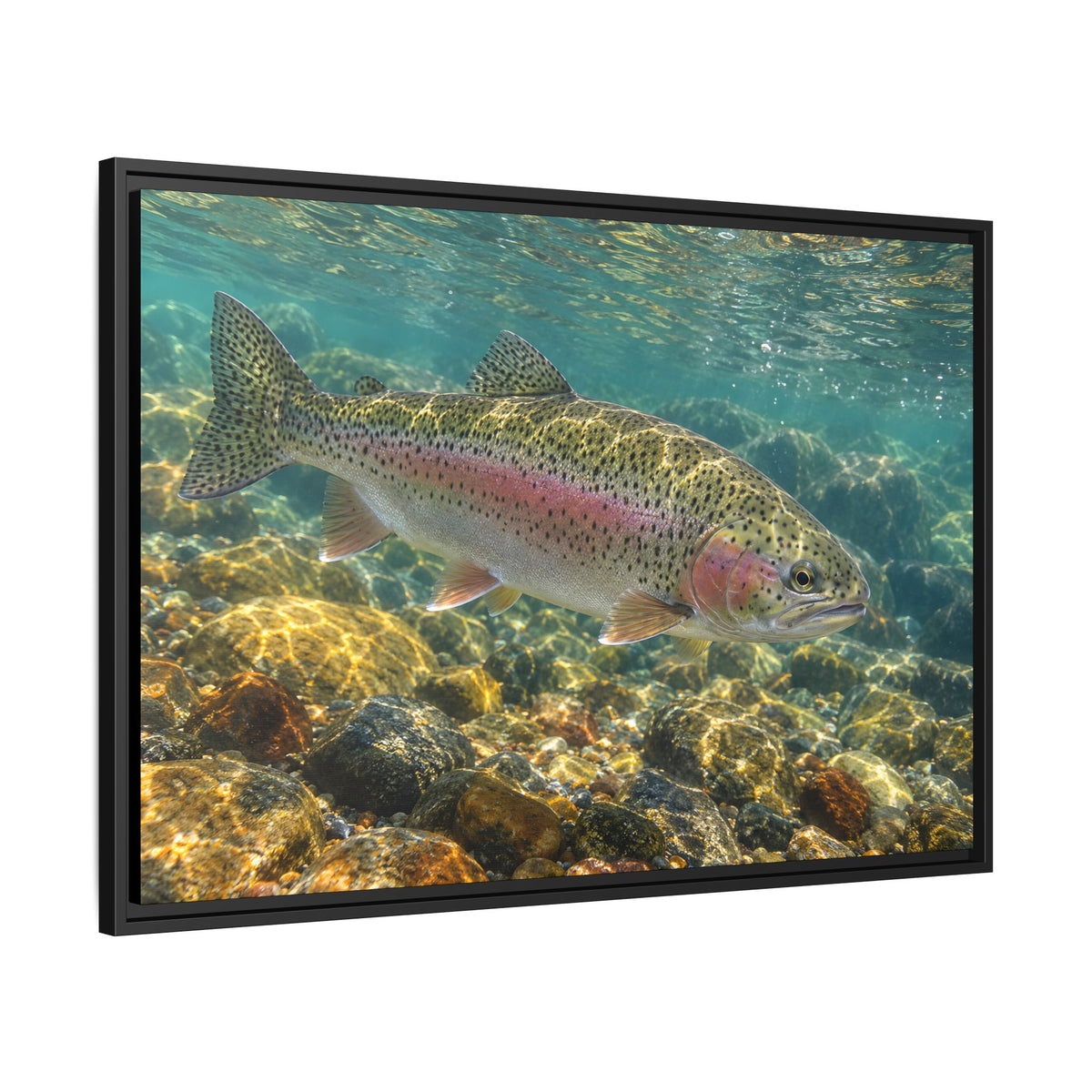 Sunlit Gravel Run Rainbow Trout framed canvas wall art, view 4