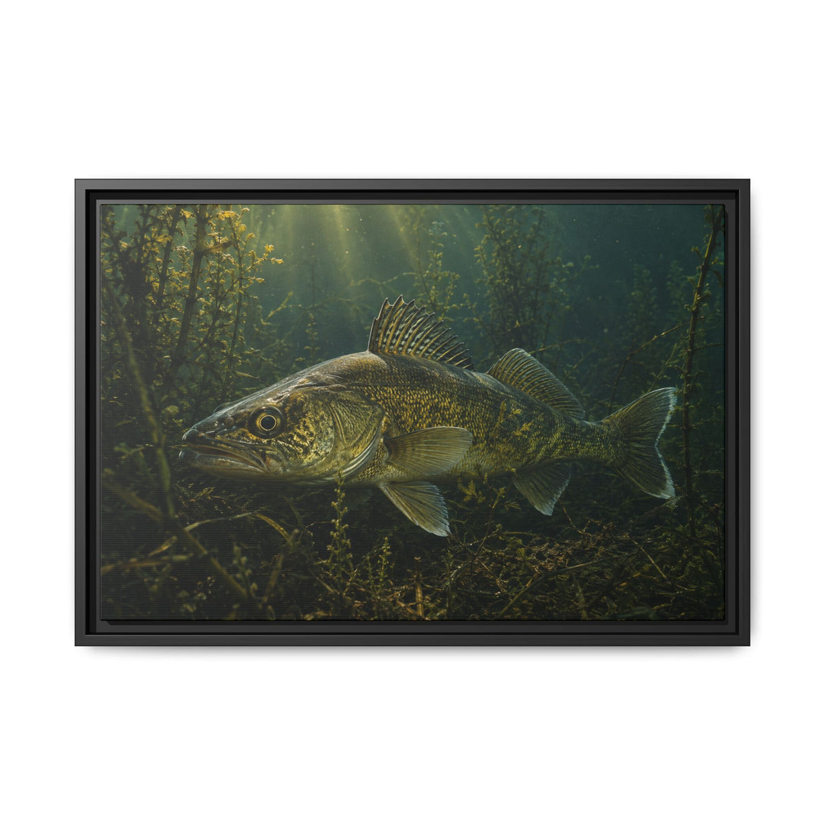 Weed Line Walleye framed canvas, 36x24 size view