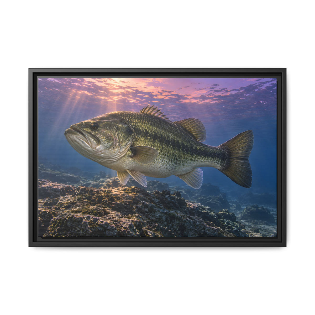 Lavender Twilight Ridge Largemouth Bass framed canvas, 36x24 size view