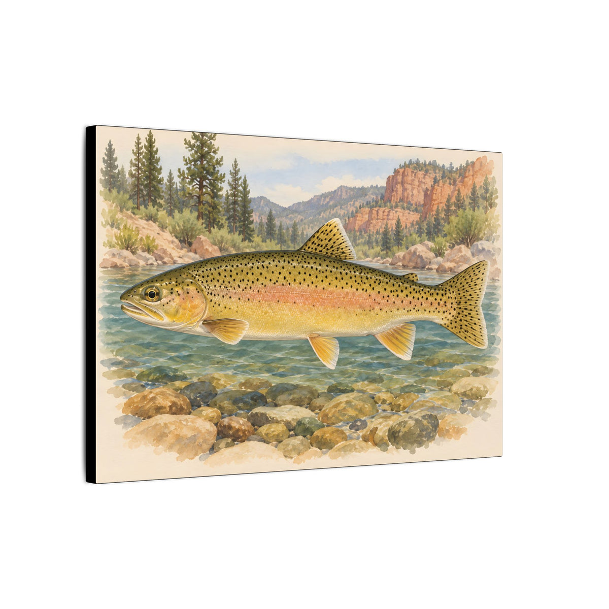Gila Wilderness Watercolor Gila Trout canvas wall art, view 4