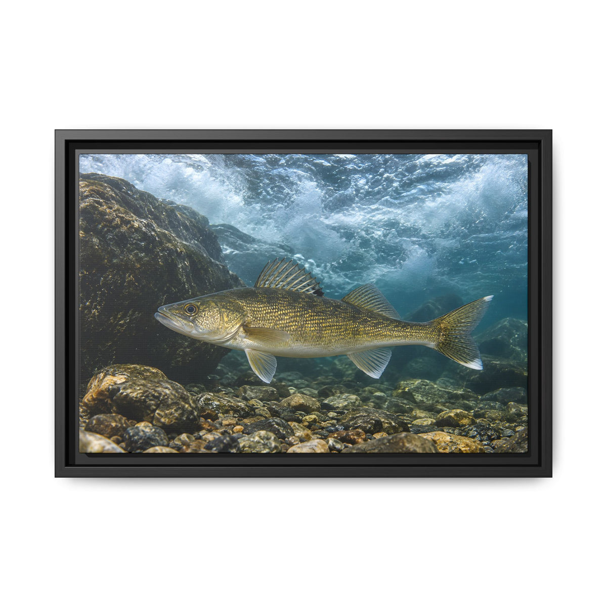 Tailwater Below the Dam Walleye framed canvas, 24x16 size view