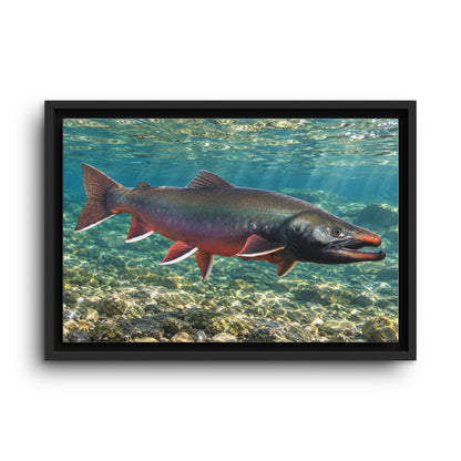 Trophy Alaskan Waters Dolly Varden framed canvas wall art