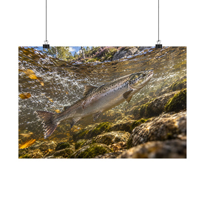 Home Through the Heather Salmon poster wall art, view 2