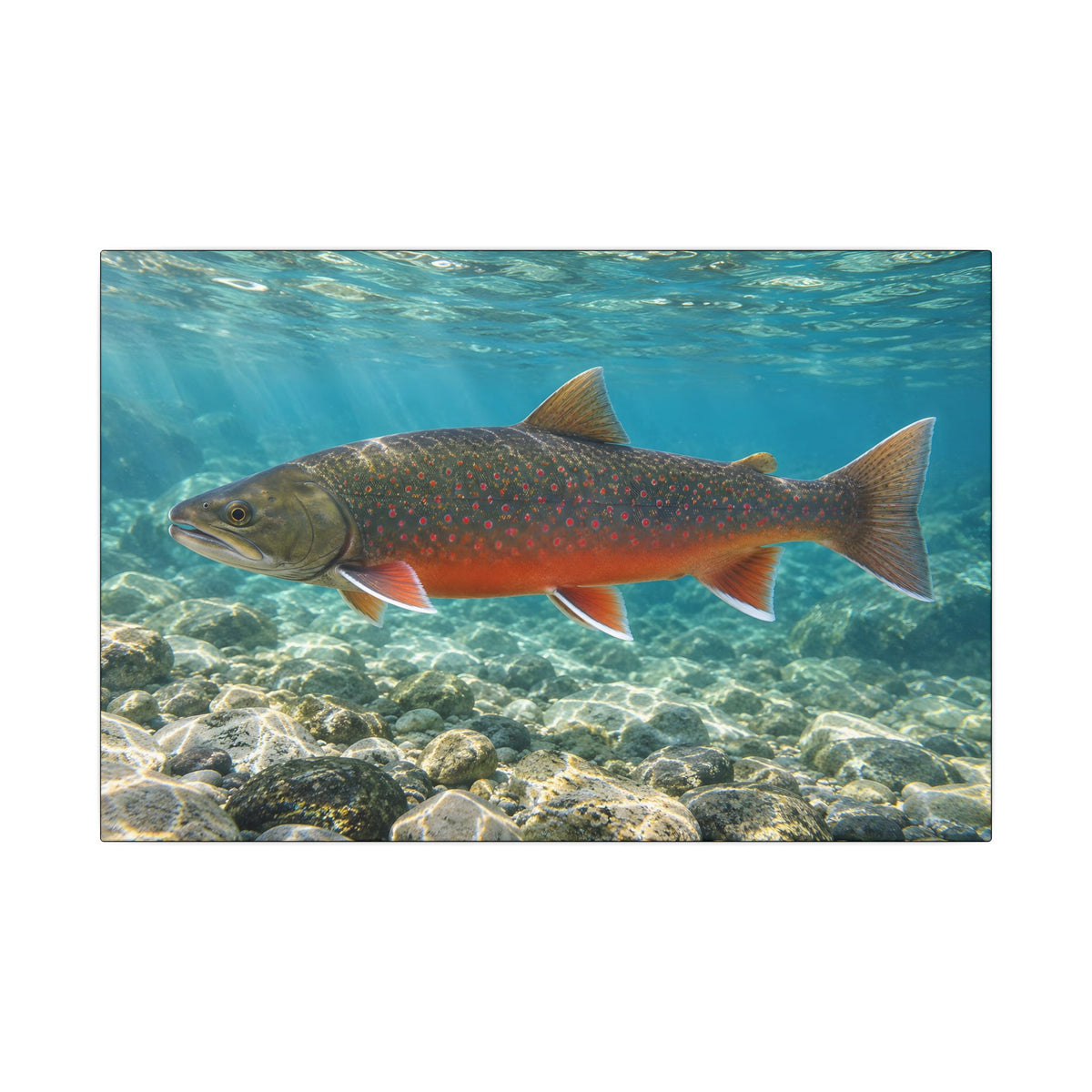 Arctic Ember Dolly Varden canvas wall art