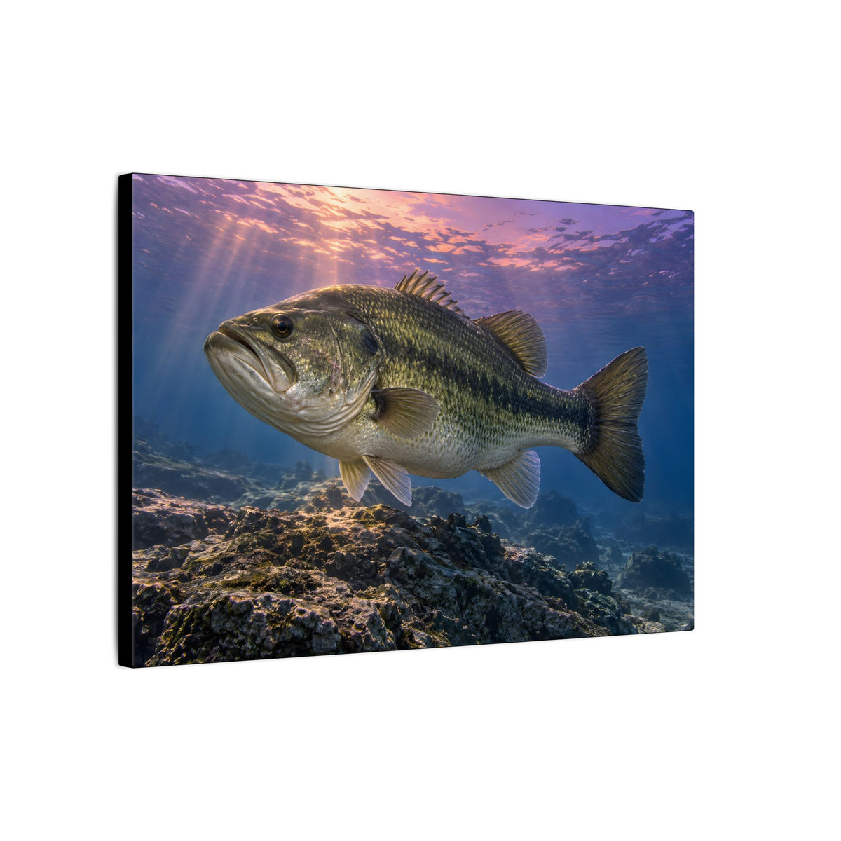 Lavender Twilight Ridge Largemouth Bass canvas side angle