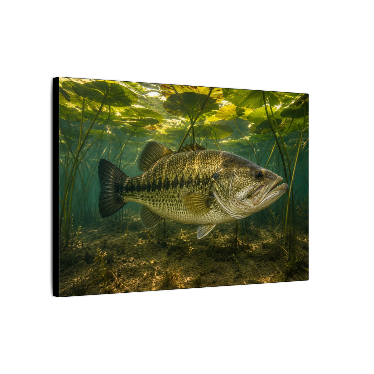 Lily Pad Shade Largemouth Bass canvas side angle