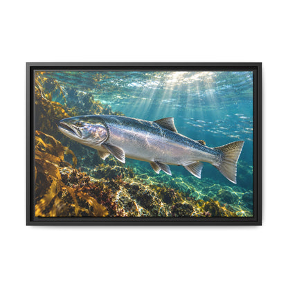 Silver in the Tide Coho Salmon framed canvas, 24x16 size view