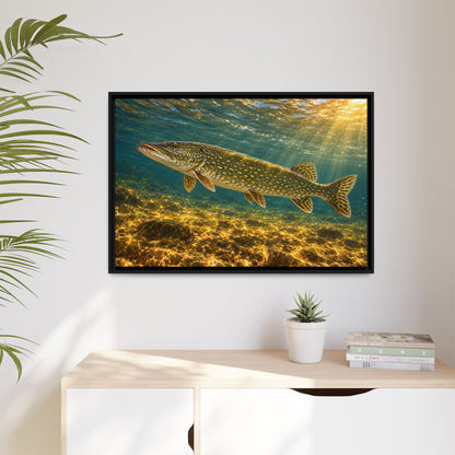Golden Current Northern Pike framed canvas hanging in a living room
