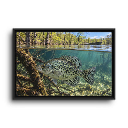 Spring Shoreline Crappie framed canvas wall art, view 2