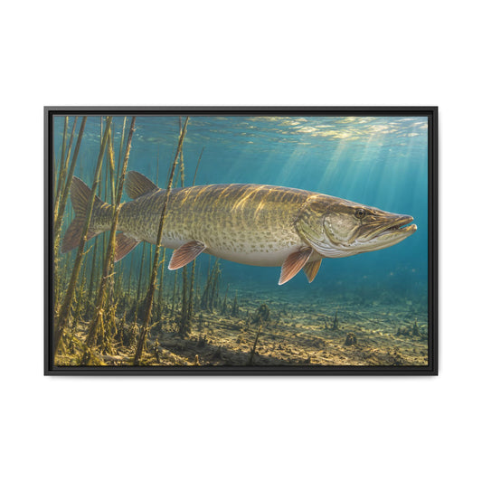 Reed Bed Cruiser Muskie framed canvas, 18x12 size view
