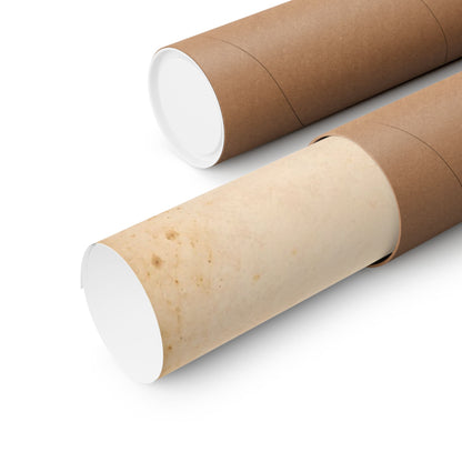 Walleye Field Study poster shipped rolled in a protective tube