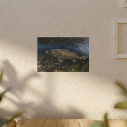 River Bend Walleye canvas hanging in a living room