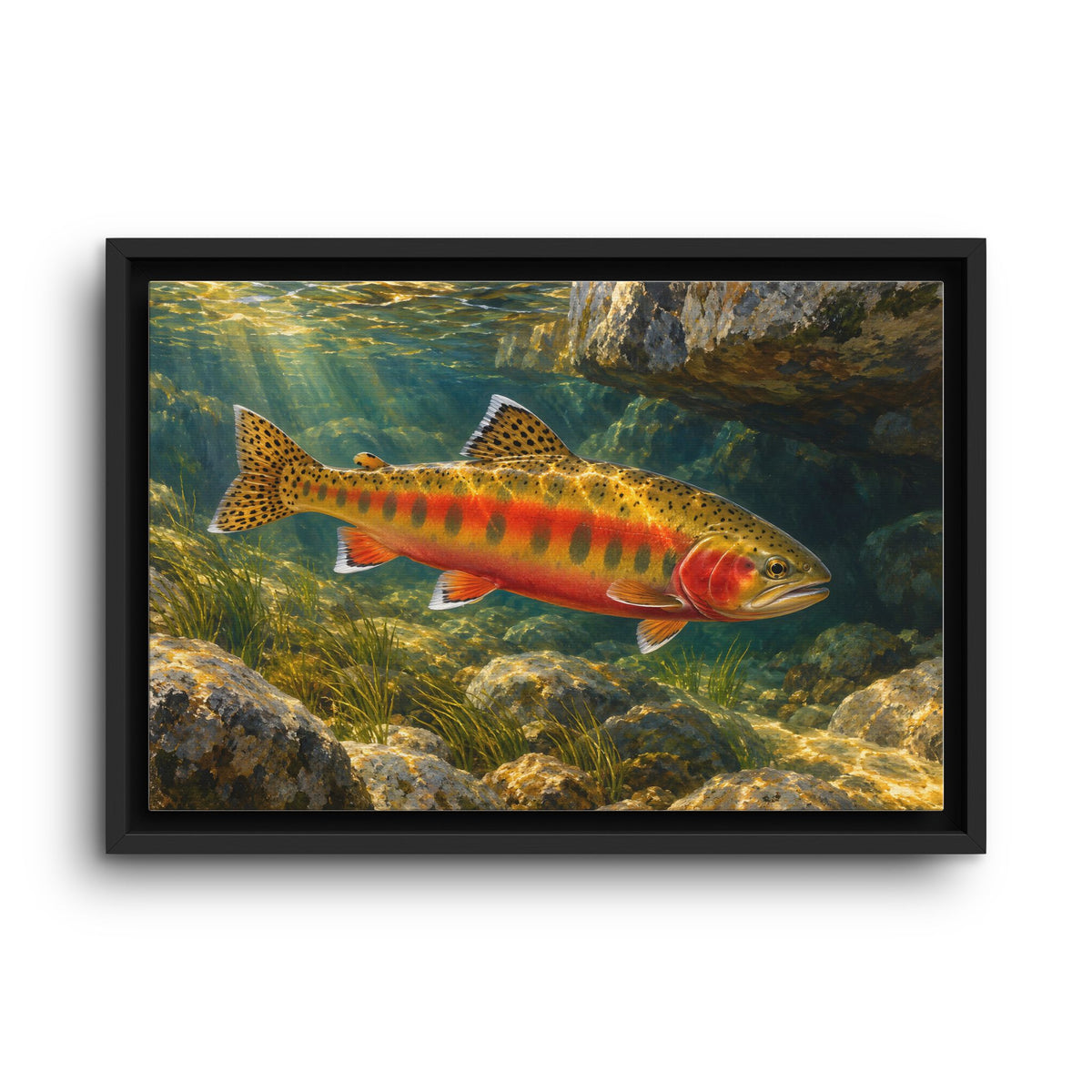 Granite Light Golden Trout framed canvas wall art