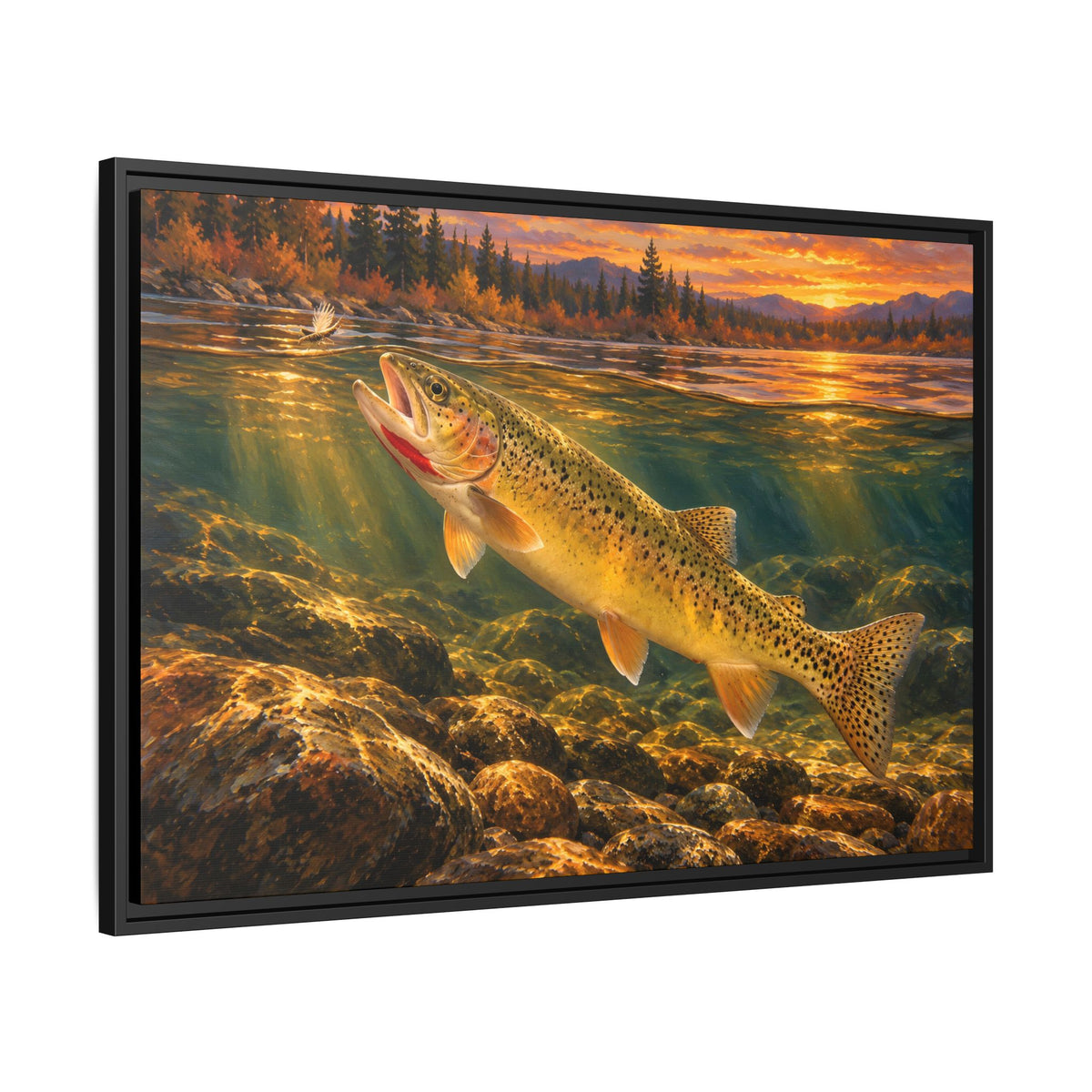 Red Throat at Dusk Cutthroat Trout framed canvas, side angle