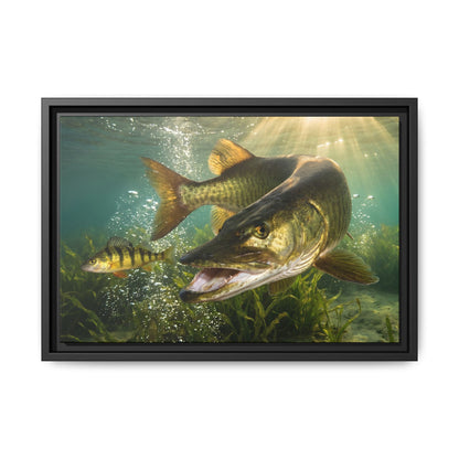Yellow Perch Chase Muskie framed canvas, 24x16 size view