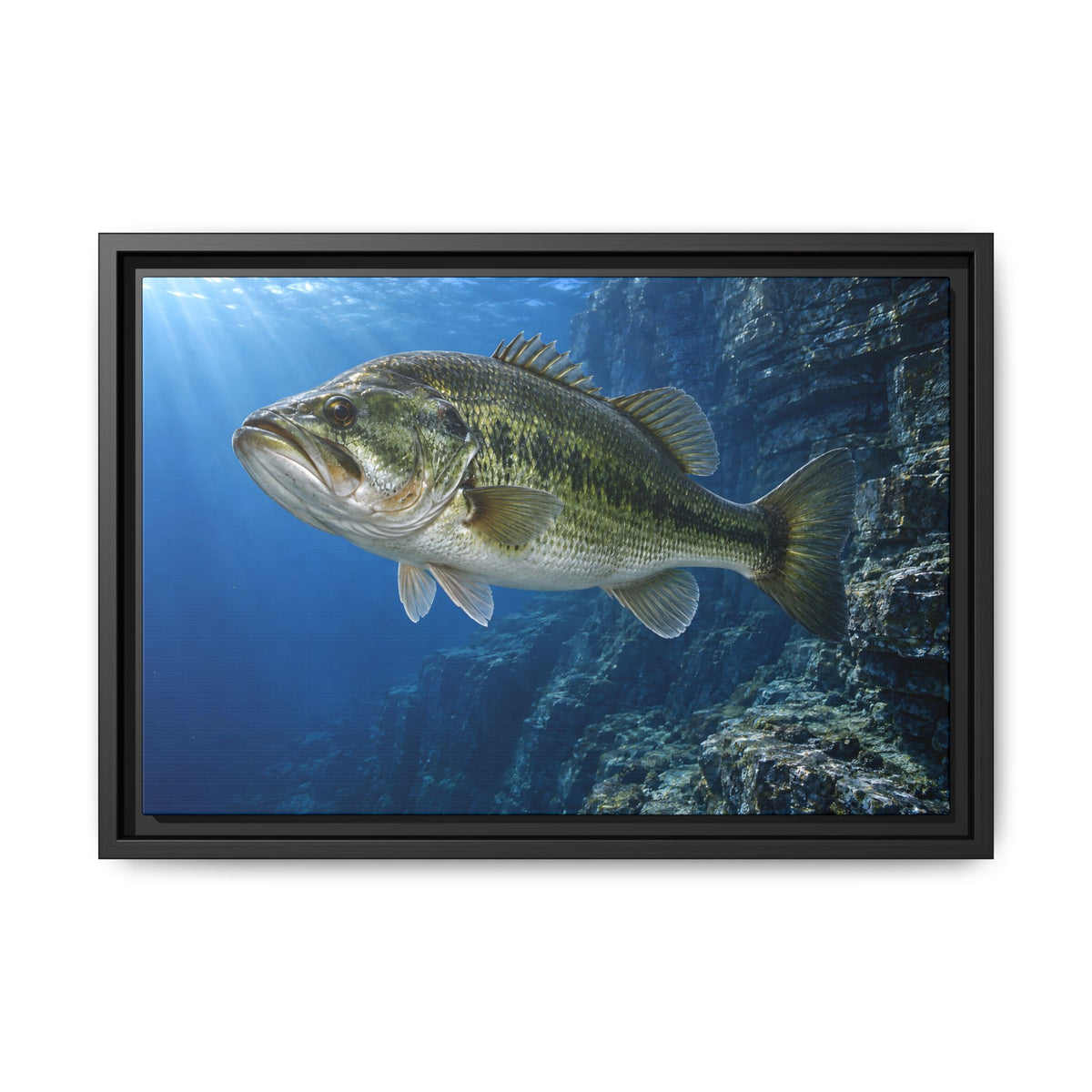 Cobalt Cliff Patrol Largemouth Bass framed canvas, 24x16 size view