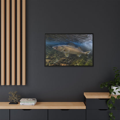 River Bend Walleye framed canvas in a home office
