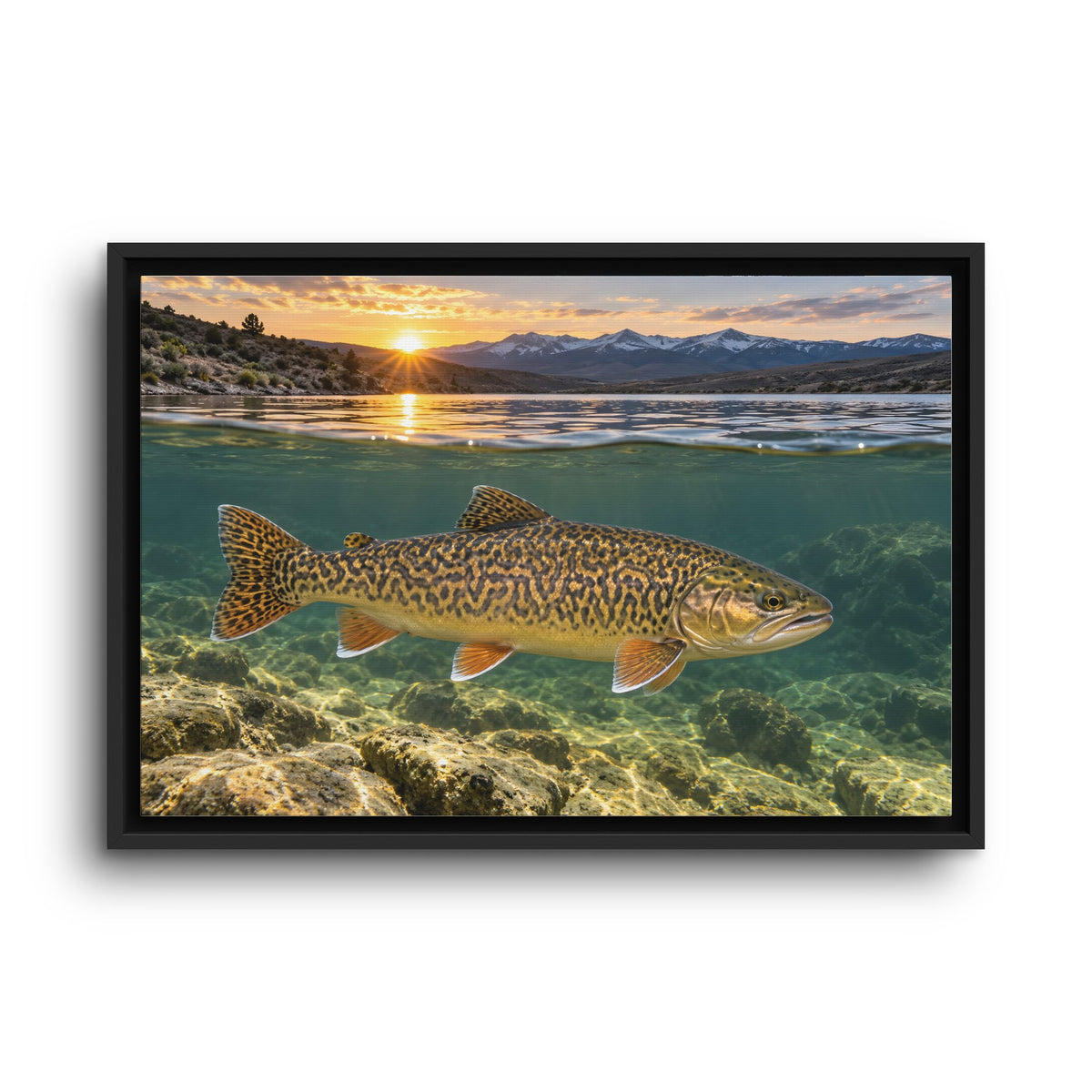 High Desert Sunrise Tiger Trout framed canvas wall art, view 2