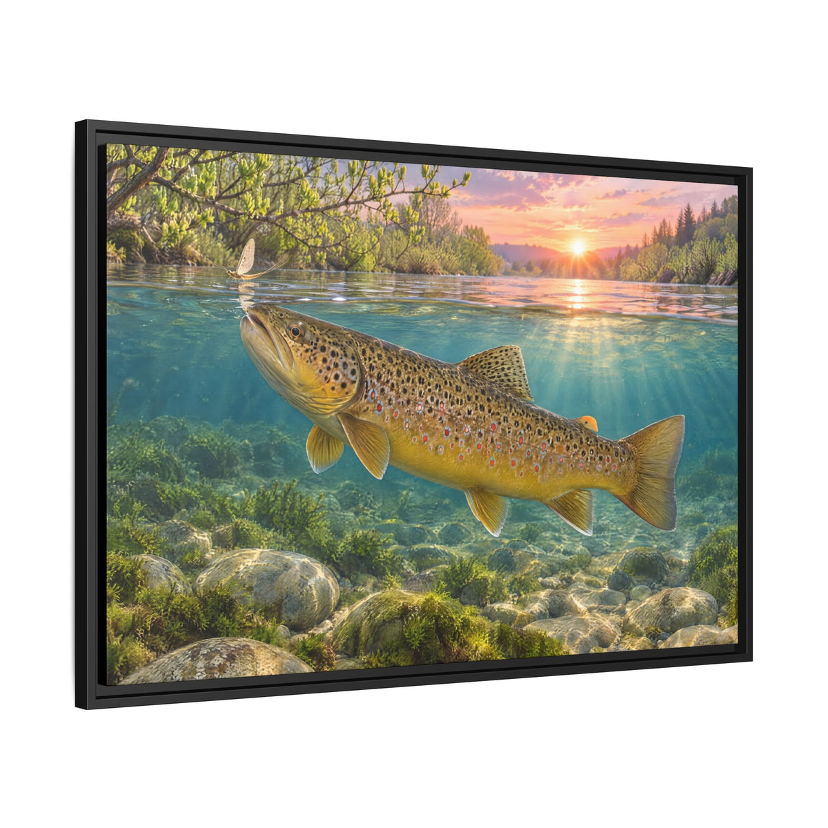 Spring Rise Brown Trout framed canvas wall art, view 4