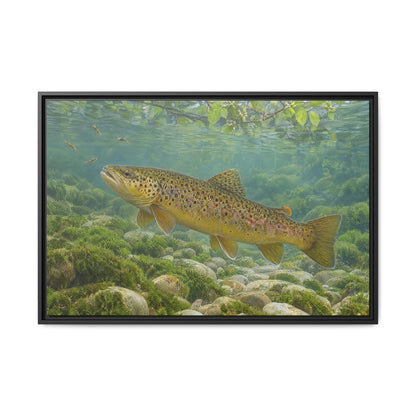 Mourning Creek Brown Trout framed canvas wall art