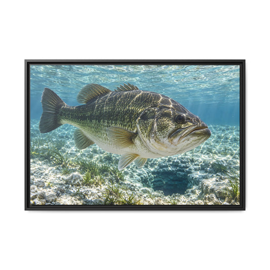 Crystal Spring Passage Largemouth Bass framed canvas, 18x12 size view