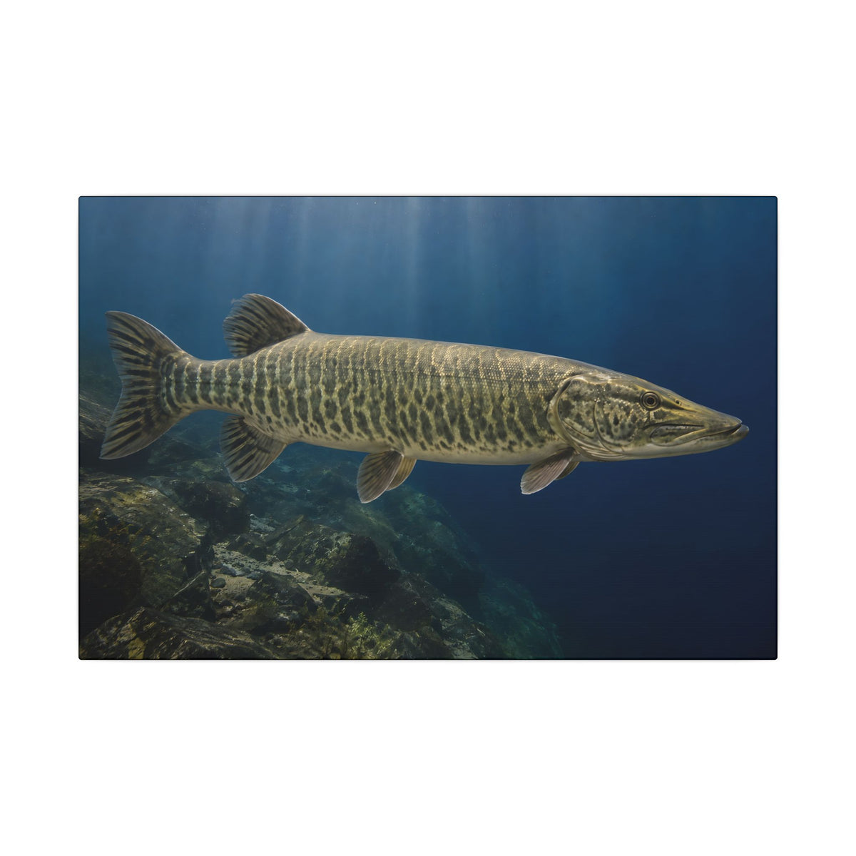 Blue Water Muskie Cruiser canvas, 18x12 size view