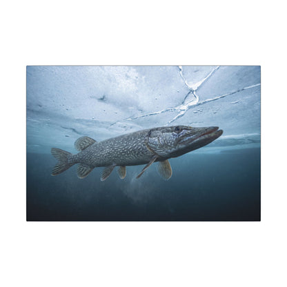 Ice-Out Strike Northern Pike canvas, 24x16 size view
